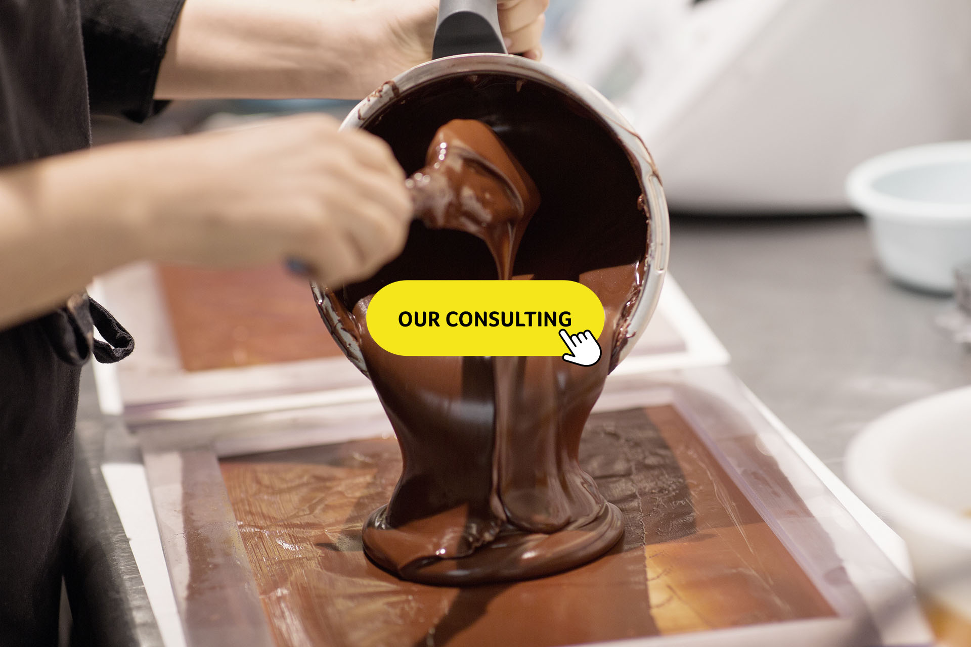 Our Consulting