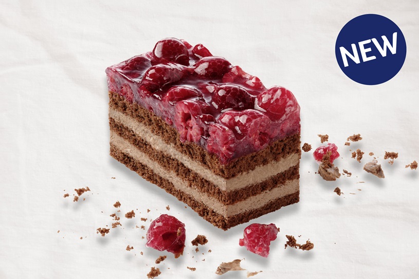 Raspberry and Chocolate Slice