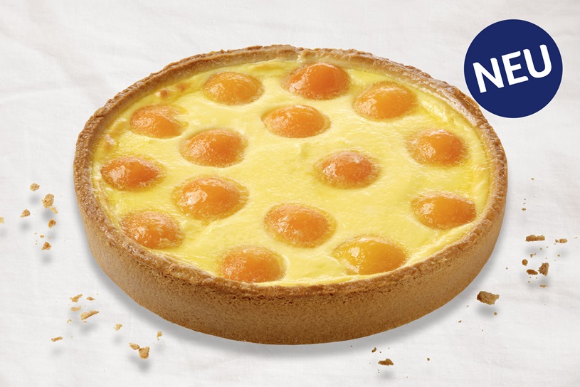 Aprikosen-Käsekuchen